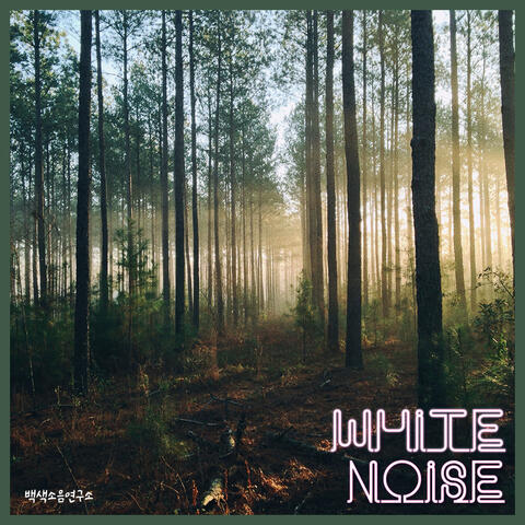 White Noise Pt. Gangwon Forest
