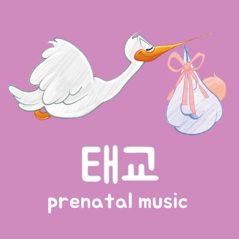 Prenatal Education Music III