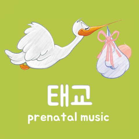 Prenatal Education Music II