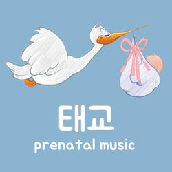 Prenatal Education Music (Joy)