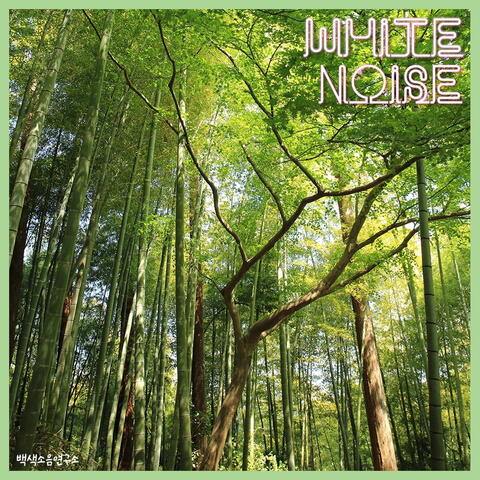 White Noise Pt. Mongduk Mountain Park