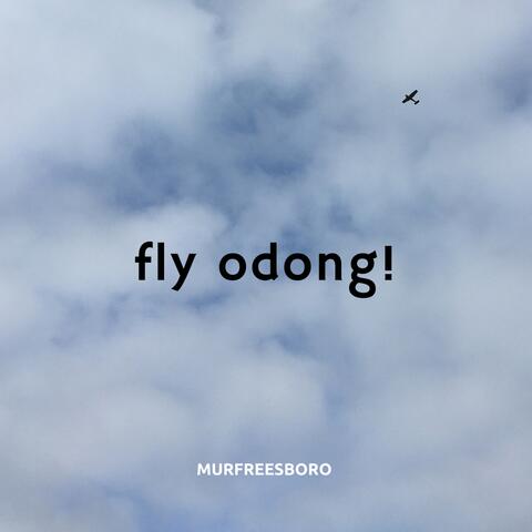 fly, odong!