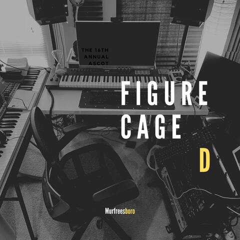 Cage D (Figure)