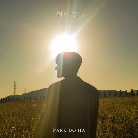 다시 널