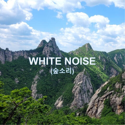 Forest sound, White noise for exam study