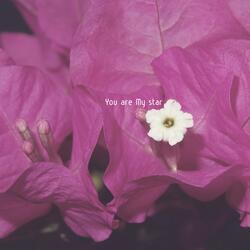 You are my star