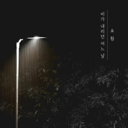 비가 내리던 어느 날
