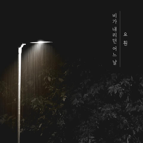 비가 내리던 어느 날