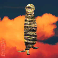 MEERKAT Instrumental