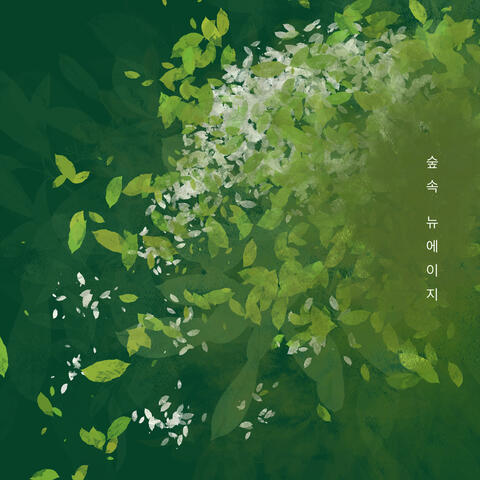 New Age In The Forest 6th