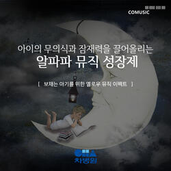 HAYDN: Piano Sonata No. 62 in E flat major Hob. XVI: 52: II. Adagio