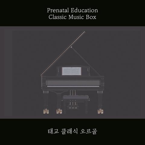 Prenatal Classic Orgel