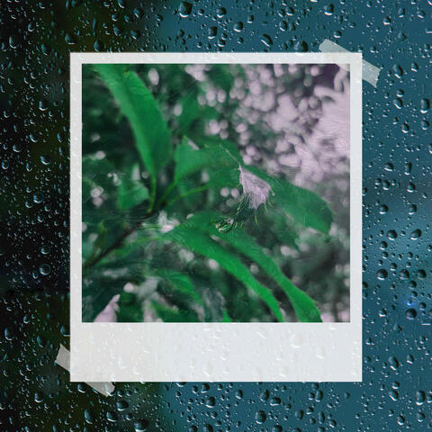 Drizzle