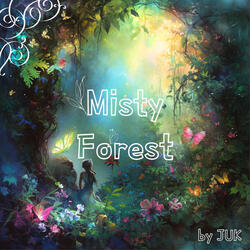 Misty Forest