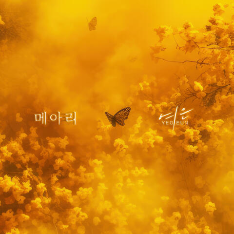 메아리