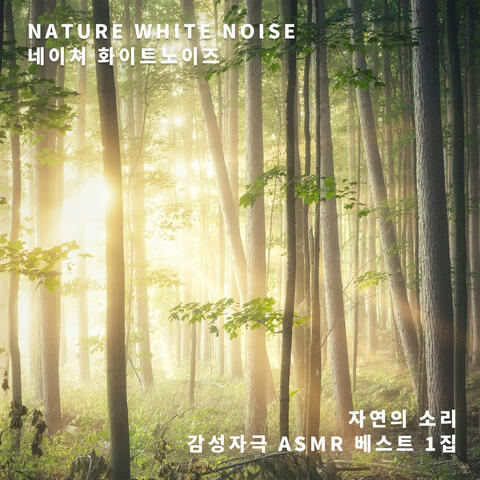 Emotional Stimulation ASMR Best 1st (Sounds Of Nature)