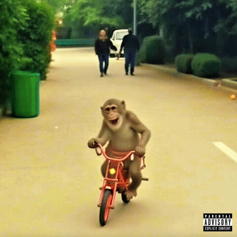 monkey experiment