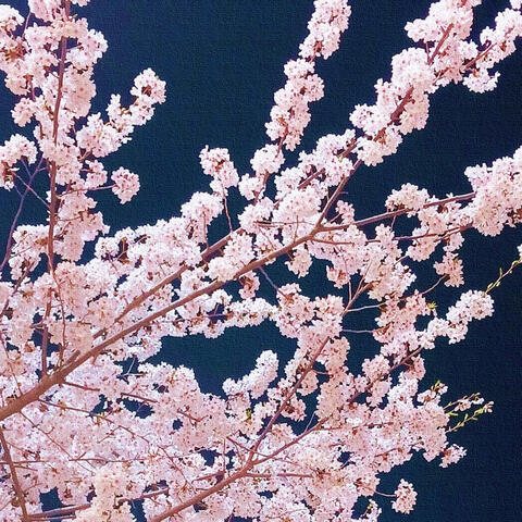 물든
