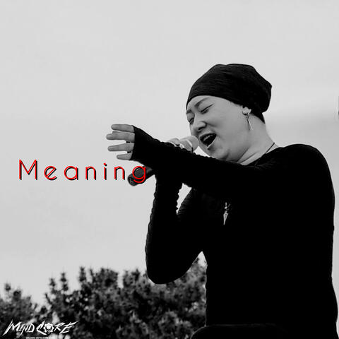 Meaning