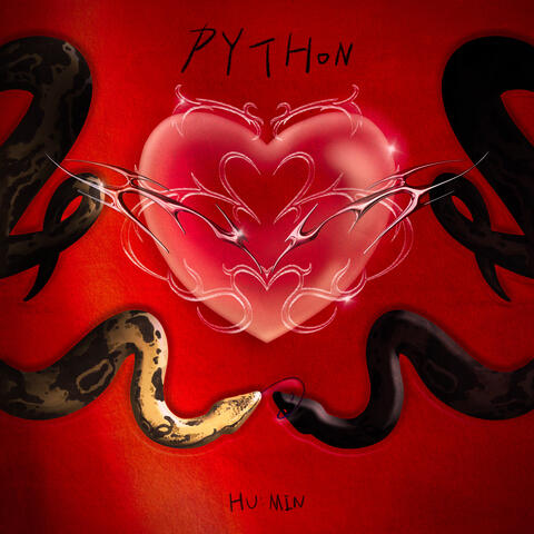 Python