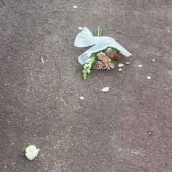 RESET (feat. heejae)