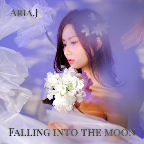 Falling into the moon