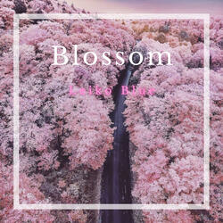 Blossom