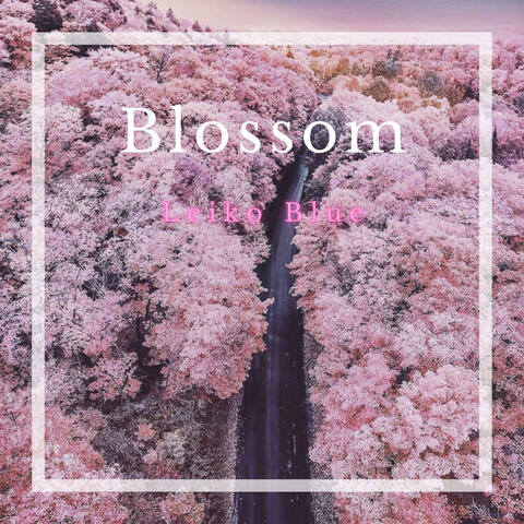 Blossom