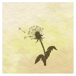 Love like a dandelion (feat. Yeji)