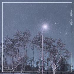 Winter Night