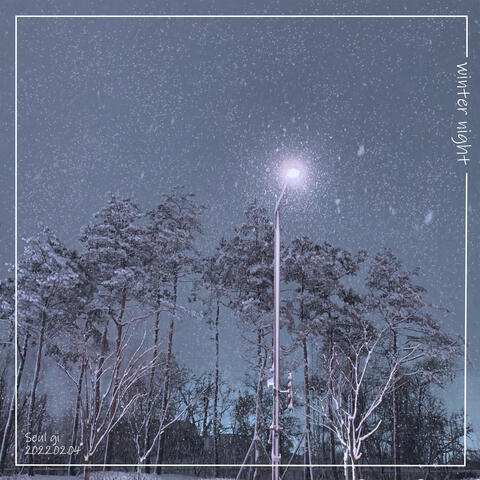 Winter Night