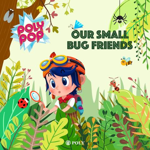 Our Small Bug Friends