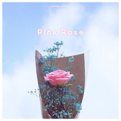 Pink Rose