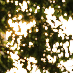 The sun glared down, relentlessly on us