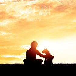One Wish