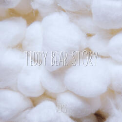 Teddy Bear Story