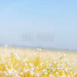 Magic Meadow