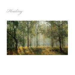 the land of the morning