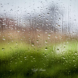 Soft Rain
