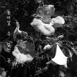 돌아갈 수 없는 곳