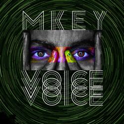 VOICE