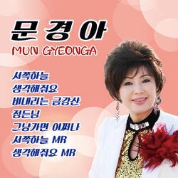 비 내리는 금강산 (Cover Version)