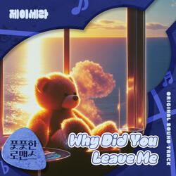 Why Did You Leave Me