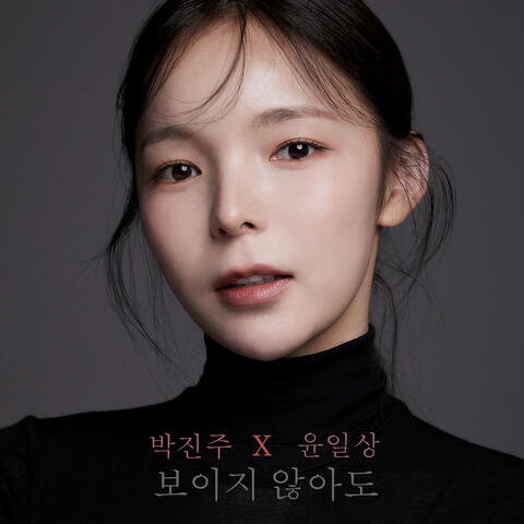 보이지 않아도