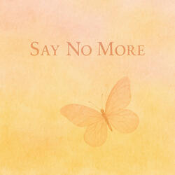 Say no more Instrumental