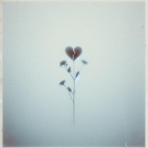 you gave me sweet heart