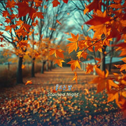 물드는 밤 Instrumental
