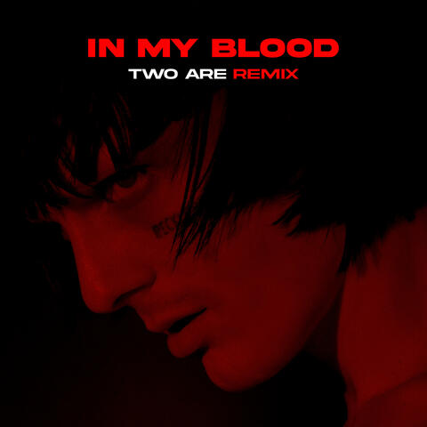 IN MY BLOOD
