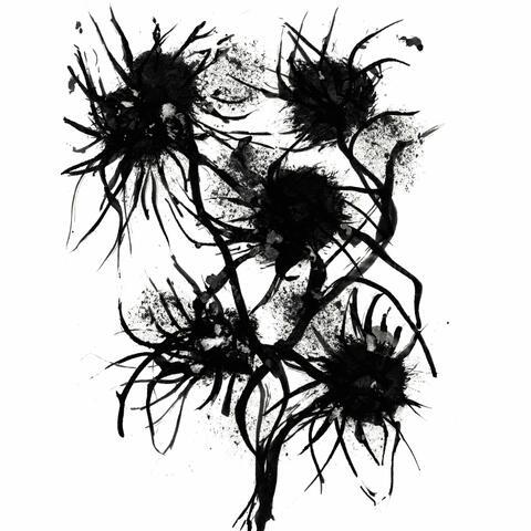 Improperis (compositions et enregistrements magnétiques 1984-2024)