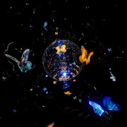 Crush (feat. Erika de Casier)